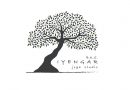Iyengar-joga-studio_logo