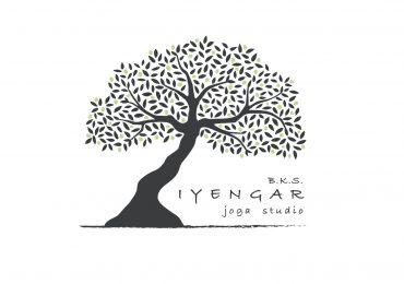 Iyengar joga studio