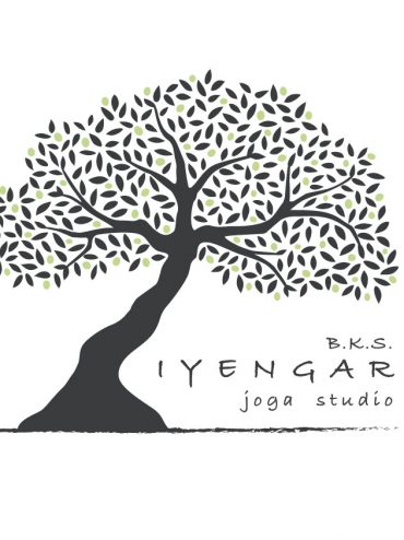Iyengar Yoga Studio